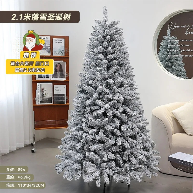 Christmas Snowfall, Plucking, Encryption, Christmas Tree Ornaments